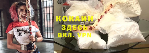 твердый Пестово