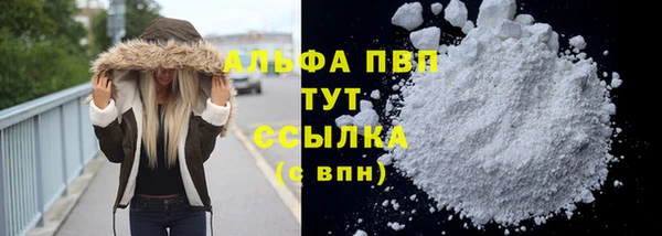 шишки Переславль-Залесский