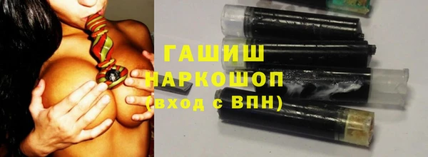 шишки Переславль-Залесский