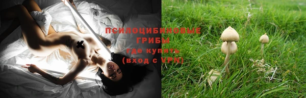 бошки Абаза