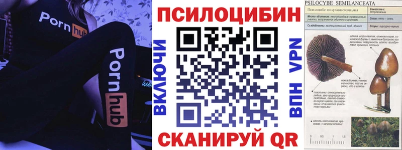 нарко площадка как зайти  Юхнов  Галлюциногенные грибы ЛСД 